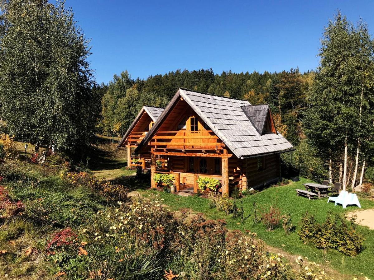 Villa Lesniowka Domki W Karpaczu Exterior foto