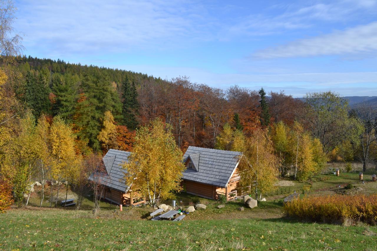 Villa Lesniowka Domki W Karpaczu Exterior foto