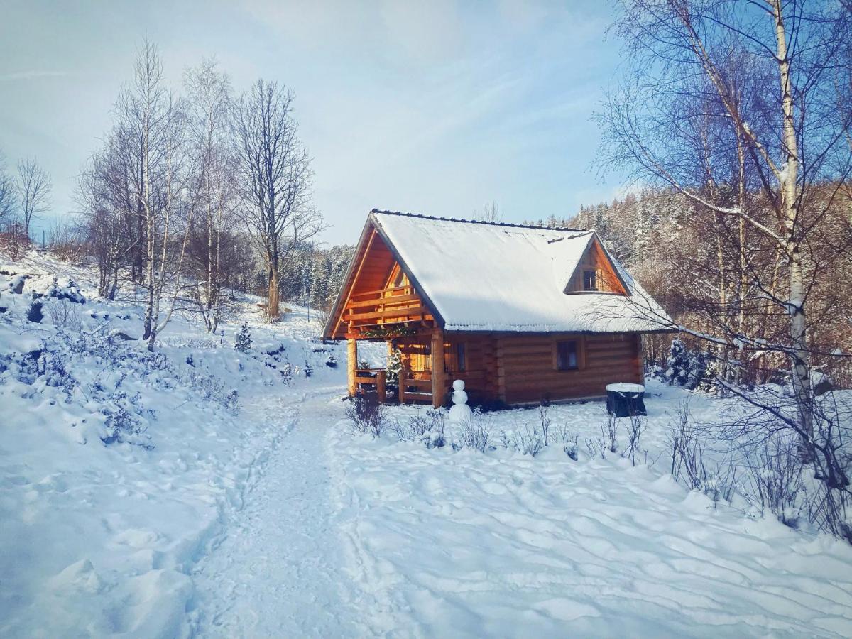 Lesniowka Domki W Karpaczu Exterior foto